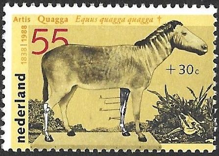 Summer Stamps 1988