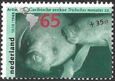 Summer Stamps 1988