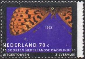 Pearl-bordered Fritillary (Boloria euphrosyne)