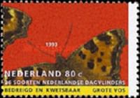 Large Tortoiseshell (Nymphalis polychloros)