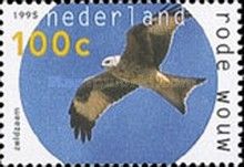 Red Kite (Milvus milvus)