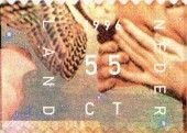 Bird's Wing, Hands and Detail of Man's Face