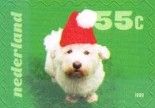 "Dog wearing Christmas Hat (Casper Heijstek, Mirjam Cnosser)