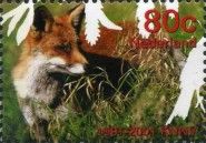 Red Fox (Vulpes vulpes)