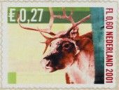 Reindeer (Rangifer tarandus)