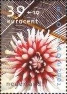Dahlia