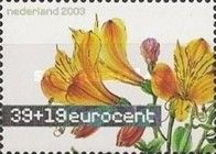 Alstroemeria sp.
