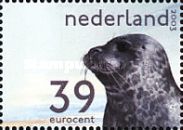 Harbor Seal (Phoca vitulina)