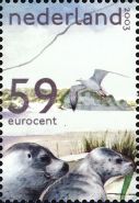 European Herring Gull and Harbor Seal