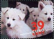 Puppies (Canis lupus familiaris)