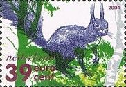 Eurasian Red Squirrel (Sciurus vulgaris)