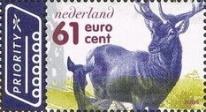 Red Deer (Cervus elaphus)