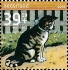Learning to read: Domestic Cat (Felis silvestris catus)