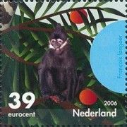 François' Langur (Trachypithecus francoisi hatinhensis)
