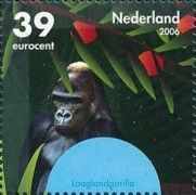 Western Lowland Gorilla (Gorilla gorilla gorilla)