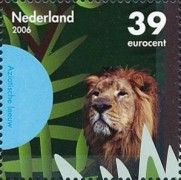 Asiatic Lion (Panthera leo persica)