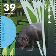 Pygmy Hippopotamus (Choeropsis liberiensis)