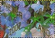 Gift Flowers