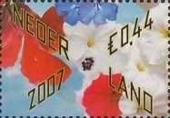 Gift Flowers