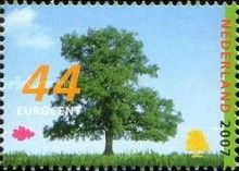 Common oak (Quercus robur)