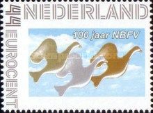 100 Years NBFV