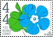 Forget Me Nots