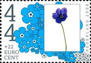 Cranesbill