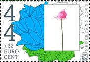 Japanese anemone