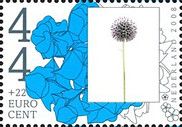 Globe thistle