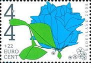 Forget Me Nots