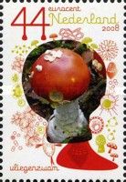 Fly agaric (Amanita muscaria)