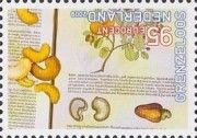 Book and Cashew nuts