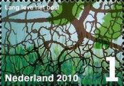 Roots