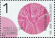 Penicilline / Schimmel (penicillin/mold)