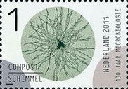 Compost