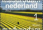 Flowers field, South Holland Province