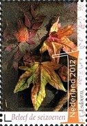 Maple Leaves