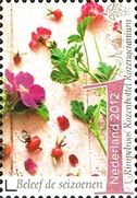 Ripple Rose, Rosehip, Pink Geranium