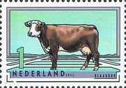 Groningen White-headed (Bos primigenius taurus)