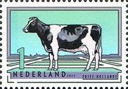 Frisian-Dutch Holstein Black (Bos primigenius taurus)