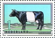 Lakenvelder (Bos primigenius taurus)