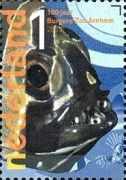 Banggai Cardinalfish (Pterapogon kauderni)