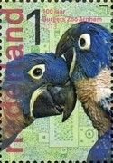 Hyacinth Macaw (Anodorhynchus hyacinthinus)