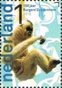 Southern Yellow-cheeked Gibbon (Nomascus gabriellae)