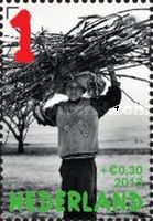 Little boy with bundle of branches