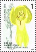 Coeloglossum viride (Frog Orchid)