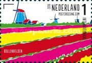 The Tulip Fields