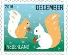 Squirrels