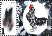 The Crowhead Fowl