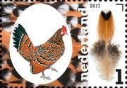 The Dutch Bantam